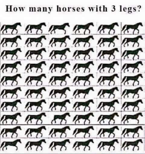 Eye Test!!! Spot The Horses With Just Three Legs